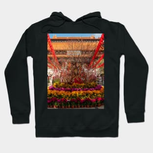 Po Lin Monastery, Lantau Island, Hong Kong Hoodie